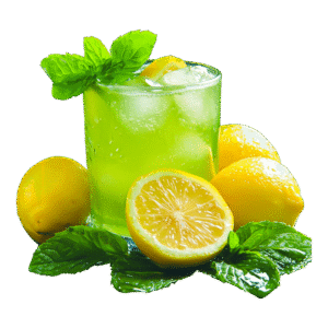 Lemon Mint Margarita